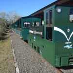 Presentaron la locomotora ecológica