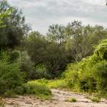 Se inauguró El Impenetrable