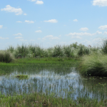 Campana tendrá un Parque Nacional