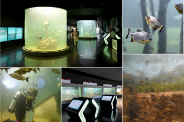 un-viaje-al-interior-de-panama