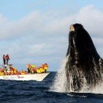 image-2018-08-21 (1)