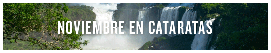 Merit cataratas 950×187