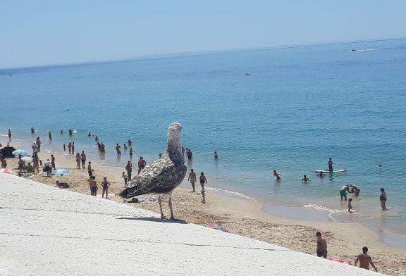 Cine turístico en Sesimbra