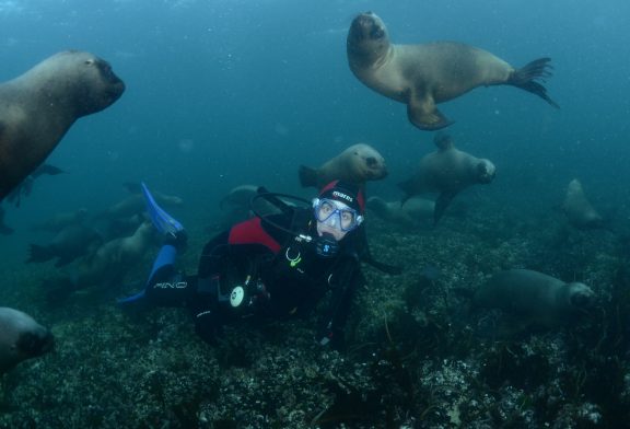 Cuarta edición de la fiesta del buceo