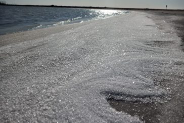 Conocer la provincia de Buenos Aires a través de sus reservas naturales