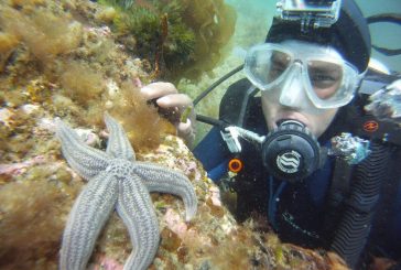 Puerto Madryn se consolida como el mejor destino de actividades subacuáticas del país