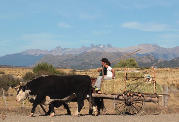 Esquel: Alto Río Percy, una perla del turismo rural