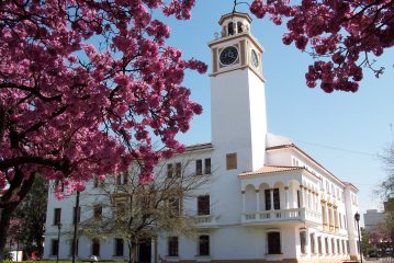 Santiago del Estero y Catamarca: íconos del segmento rural