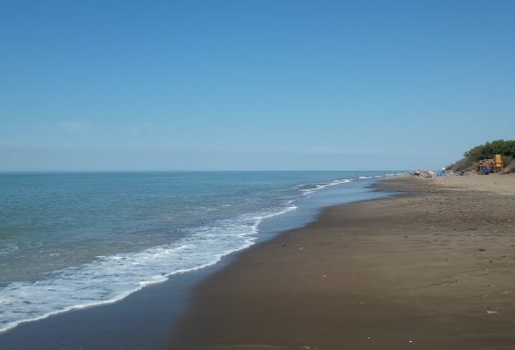 Aventura, naturaleza y ciencia en Pehuen co