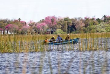 Corrientes habilitó todos sus portales de ingreso al Iberá.