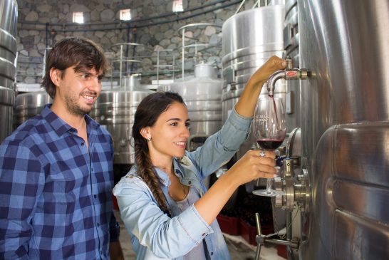 Tucumán: una ruta del vino para conocer las bondades vitivinícolas de estas tierras