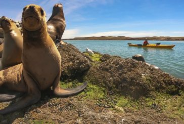 Puerto Deseado arranca su temporada turística