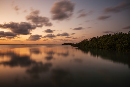 Tres tesoros naturales en la Riviera Maya