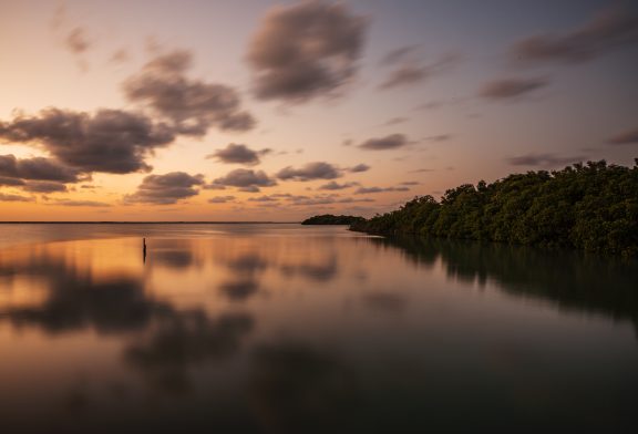 Tres tesoros naturales en la Riviera Maya