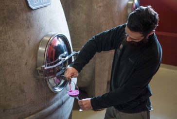 Orgullo cordobés: los nuevos puntajes de los vinos de Terra Camiare