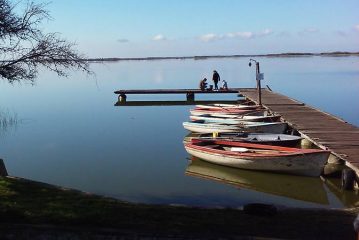 Vacaciones Bonaerenses : Bosques, lagunas, y hasta bicidinosaurios