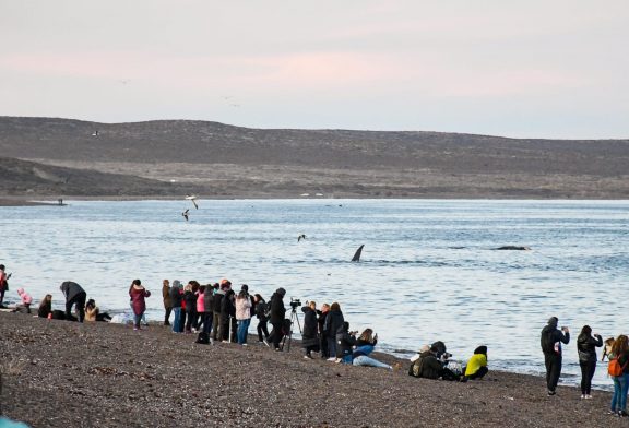 Incremento del 55% en Turismo de Puerto Madryn respecto al 2021