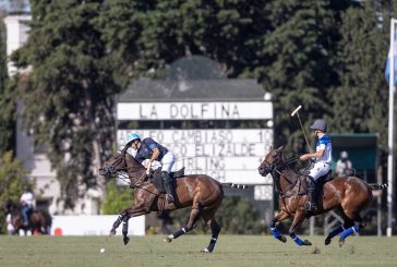 Polo argentino , la nueva propuesta para turistas