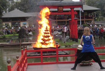 Festival del fuego 