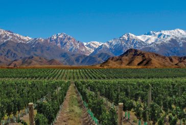 Perspectiva de Género en la Industria del Vino