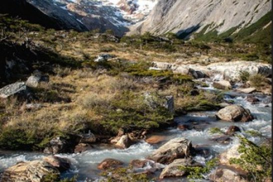 Imperdibles lugares para visitar durante el carnaval en Ushuaia