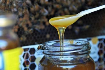 Una miel de Tandil impacta el paladar
