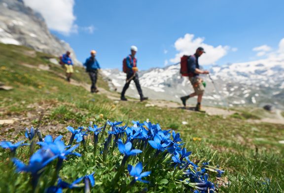 Trabajo y aventura: cómo explorar el mundo sin pedir vacaciones