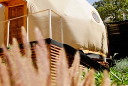 Chile | 5 Opciones de glamping