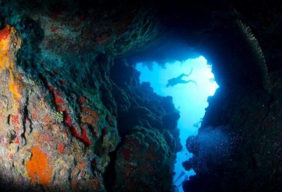 Islas Caimán invita a descubrir un lugar diferente para bucear