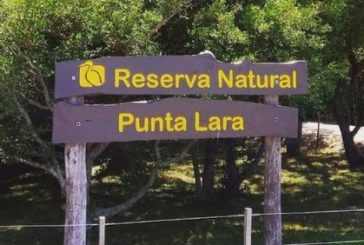 Tres Reservas naturales bonaerenses para recorrer en invierno