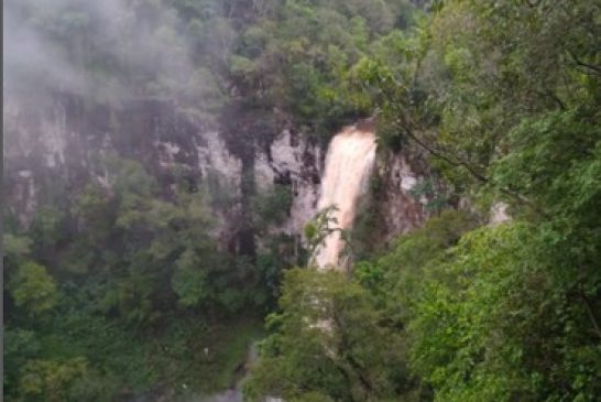 Noche de paseo y gastronomía misionera en el Salto Encantado