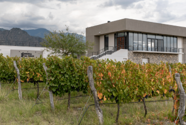 Salta obtuvo el premio al “Mejor Vino Tinto” en el segundo Concurso Nacional de Vinos Guarda 14