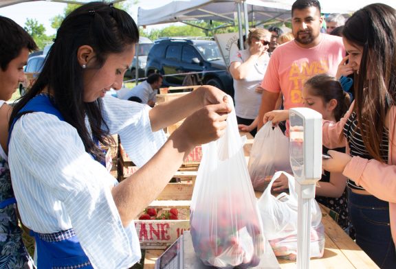 Destinos bonaerenses con las frutillas como protagonistas