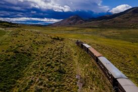 Uno de los trenes más emblemáticos de Argentina ahora es pet friendly