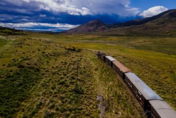 Uno de los trenes más emblemáticos de Argentina ahora es pet friendly