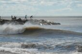 Las playas de la provincia de Buenos Aires son un clasico del verano