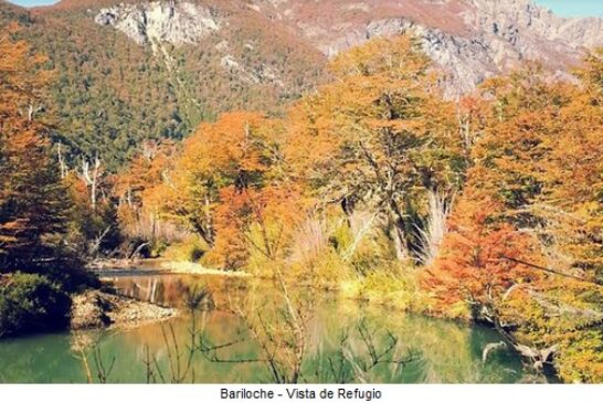 Propuestas que ofrece el otoño en Bariloche