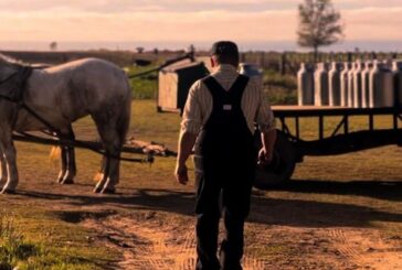 Colonia Menonita, un refugio de valores y tradiciones ancestrales.