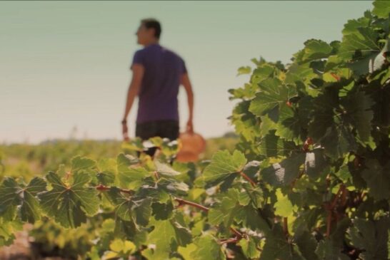 El verano en los pueblos de la Ruta del Vino de Rueda