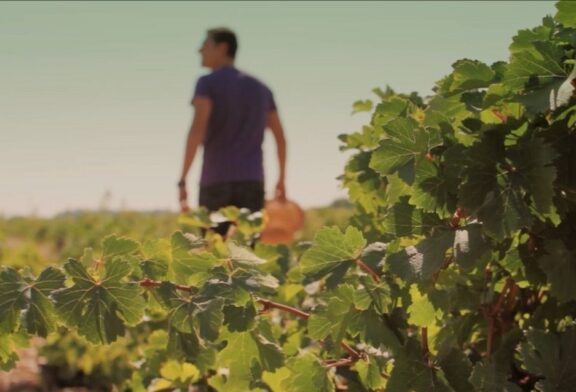 El verano en los pueblos de la Ruta del Vino de Rueda