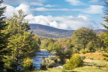 Promoción especial en el Parque Nacional Tierra Del Fuego para la temporada de verano